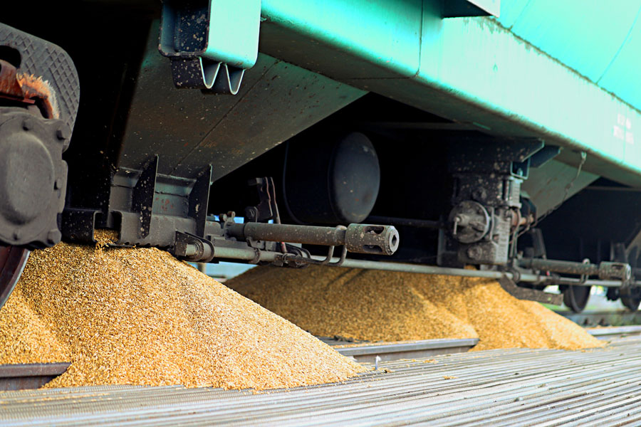 Over 2 million tons of grain are planned to be exported to China in 2024