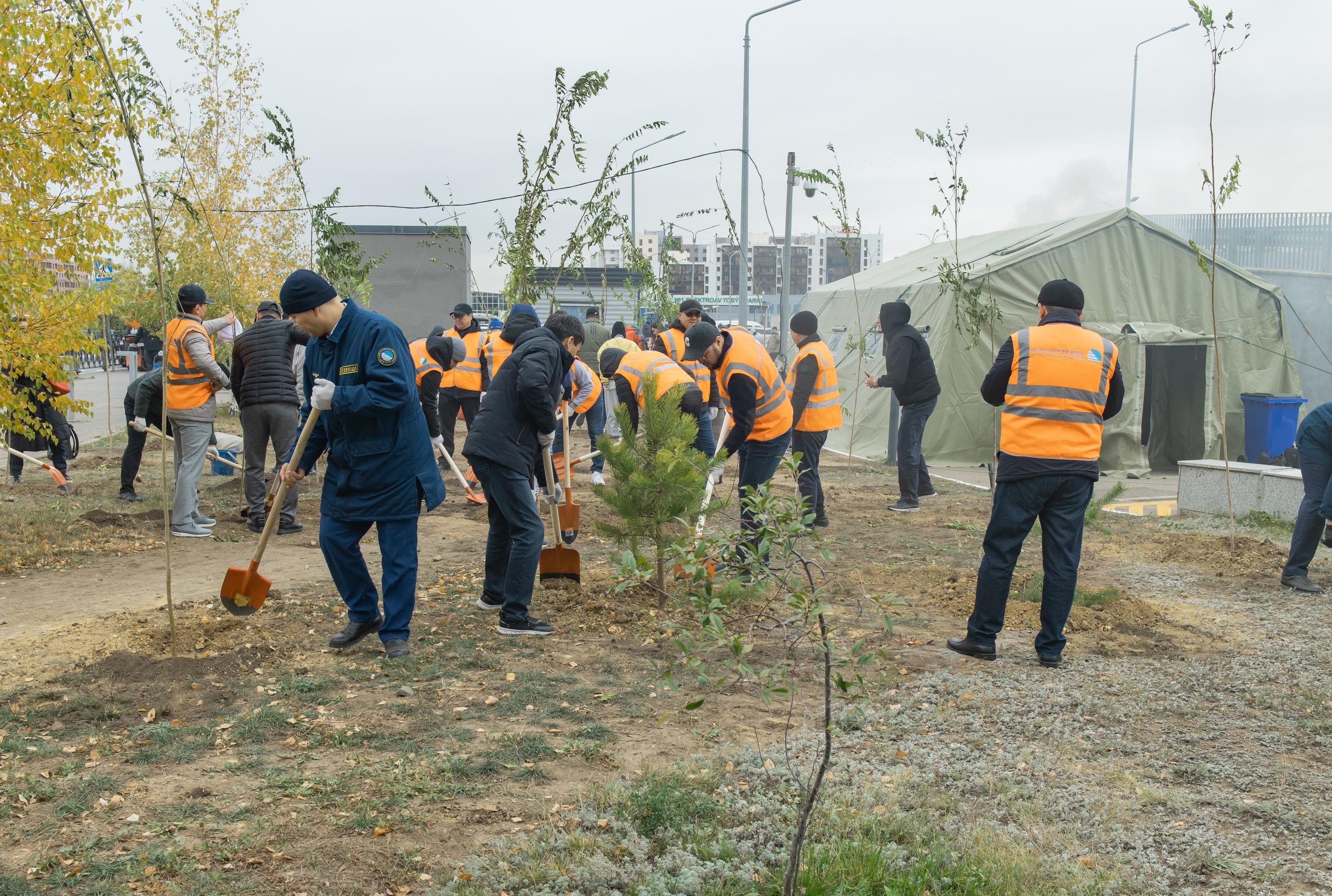 КТЖ: Более 90 тысяч деревьев – вклад железнодорожников в «Таза Қазақстан»